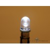 Clear Dome 6.3 volt LED
